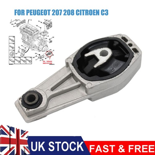 Rear lower engine - rear,