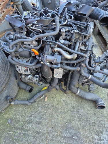 Skoda octavia diesel - 1.6,